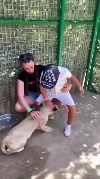 Wait for It... 😂 Kids' Funniest Accidents and Bloopers!