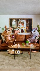 No pizza was harmed during this scene. No nuggets either #petz