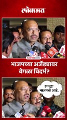 आम्ही वेगळ्या विदर्भाच्या बाजूनंच काम करतोय, चंद्रशेखर बावनकुळे यांचं मोठं विधान