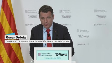 El govern organiza el plan para combatir la peste porcina