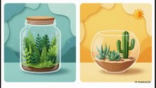 Terrariums and bottle gardens