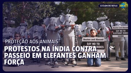 Protestos contra passeios com elefante ganham destaque na Índia