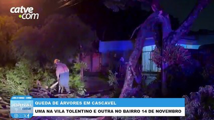 Rajadas de ventos provocam queda de árvores e transtornos em Cascavel