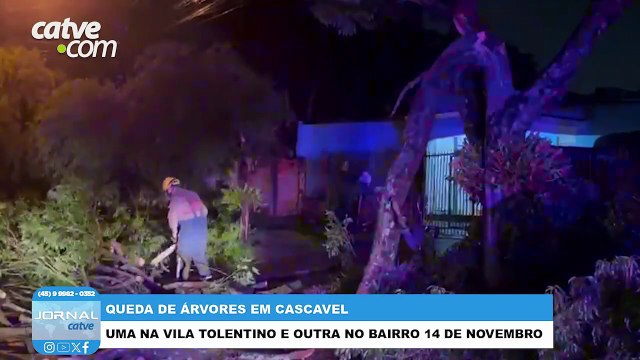 Rajadas de ventos provocam queda de árvores e transtornos em Cascavel