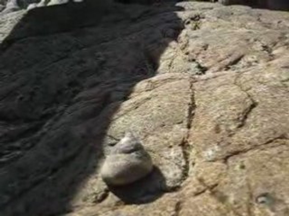Super Glu