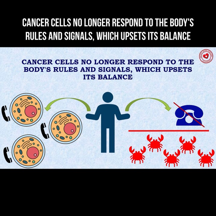 Cancer cells no longer respond to the body's rules and signals, which upsets its balance