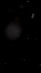 Anime: Solo Leveling