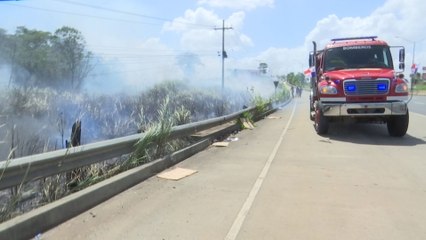 Lanzan campaña 'No al fuego, sí a la vida' ante alarmante aumento de incendios de herbazales