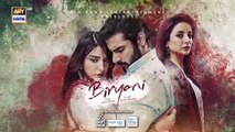 Biryani Last ep 35 Pakistani drama