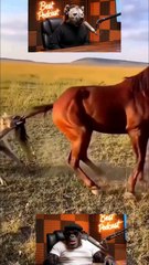 chimp and Hayna podcast..