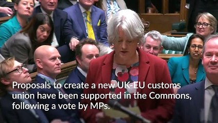 Proposal to create new UK-EU customs union supported by MPs