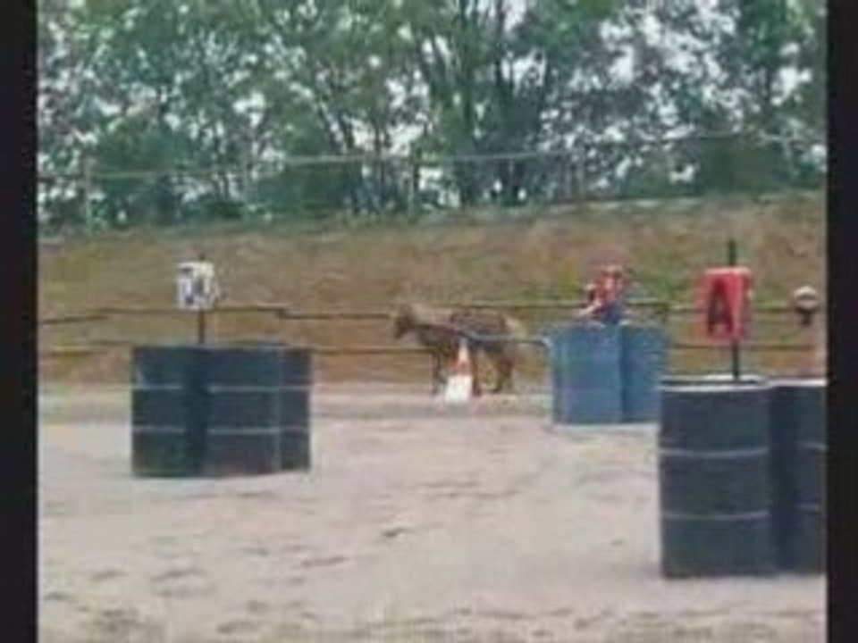 1er concours d' attelage de Margaux aux Elfe Blancs