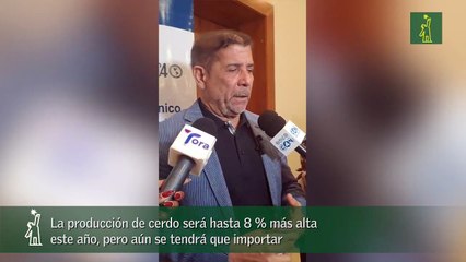 La producción de cerdo será hasta 8 más alta este año, pero aún se tendrá que importar