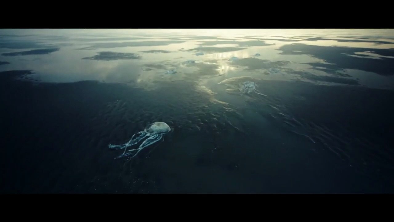 Tides Trailer DF