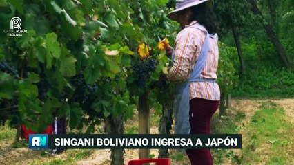 Programa Rural Noticias, Viernes 5 de diciembre del 2025