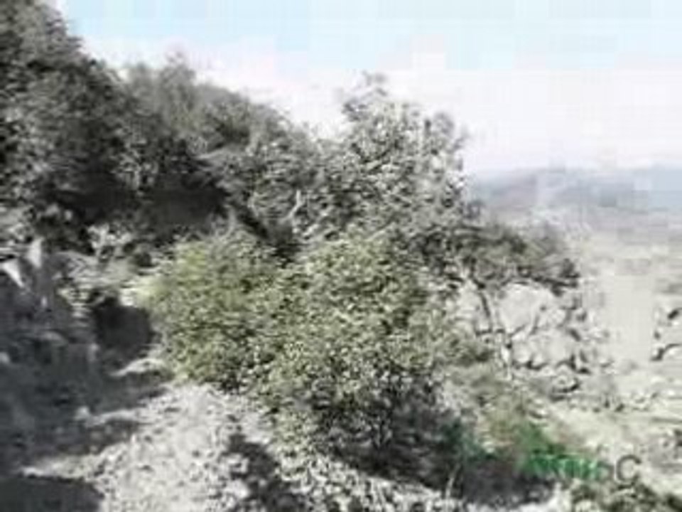 Troodos and Paphos forest - waterfalls, bridges & walks