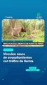 Vinculan casos de avasallamientos con tráfico de tierras