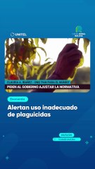 Alertan uso inadecuado de plaguicidas