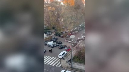 Milano, il parco di via Marina preso d'assalto dalle auto l'8 dicembre
