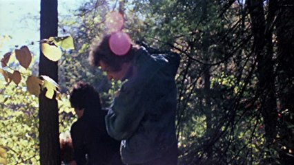 The Last House On The Left -Hd 1972