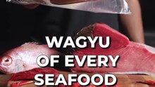 I Cooked the WAGYU of Every Seafood
