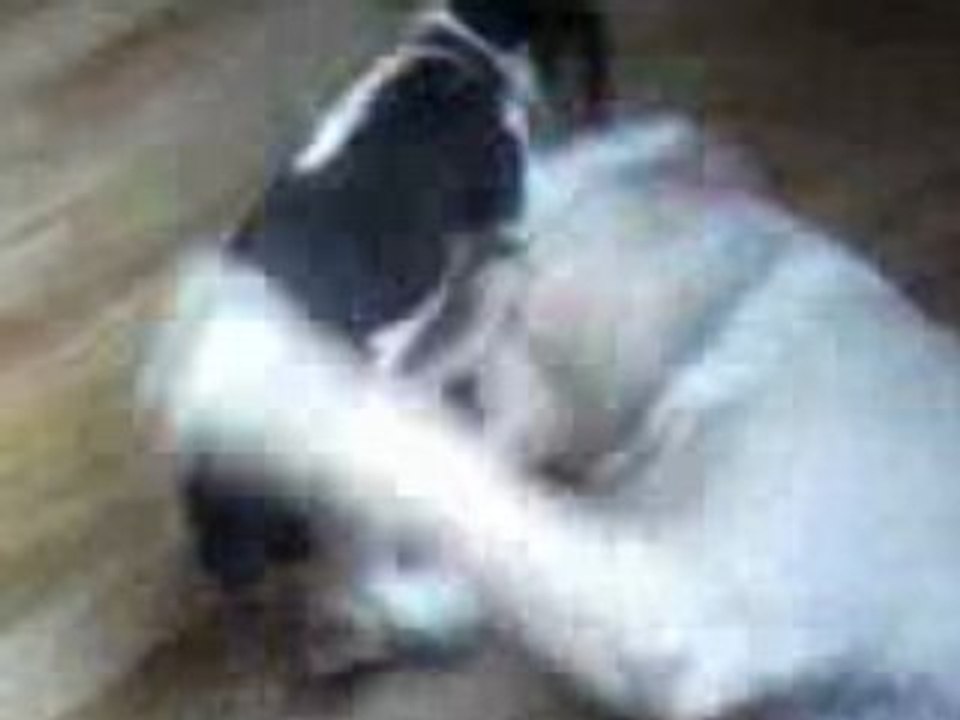 Vidéo0021