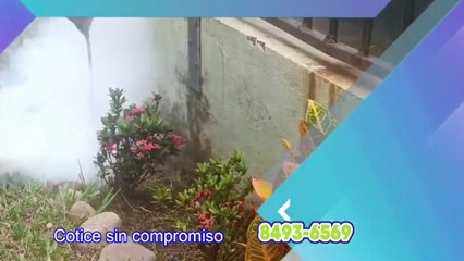 Programa Jaque Mate Viernes 12 de Dic