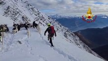 Missing goats found stranded 2,500 metres up mountain