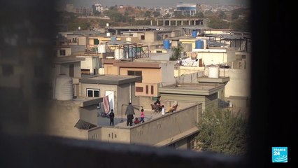 Afganos, afectados por el congelamiento de solicitudes de asilo en Estados Unidos