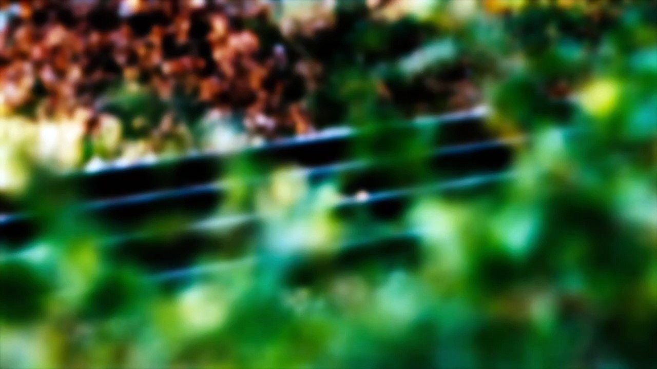 Britain's Most Evil Killers S02E06 John Duffy and David Mulcahy