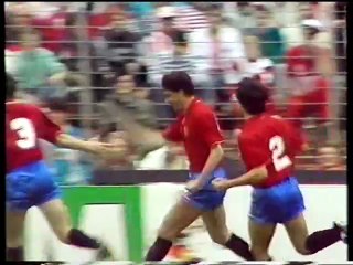 1988 UEFA Euro - Denmark v. Spain