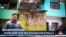 PITBULLS ACABAN CON VIDA DE BEBÉ | Willax