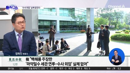 [핫피플]백해룡 ‘마약 수사 외압’ 주장…검찰 “사실무근”