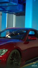 The Silent Protector shortmintz