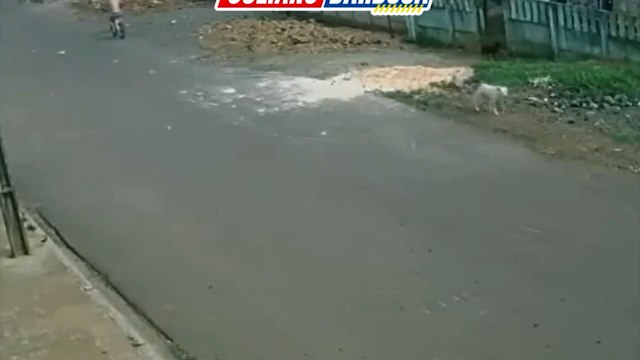 Imagens Fortes! Menino de 9 anos é atropelado e arrastado por condutor bêbado; mãe testemunha horror