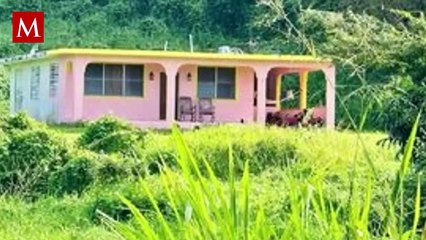 Bad Bunny sorprende a fans sin VIP: ¿El nuevo escenario es realmente una estrategia de marketing?