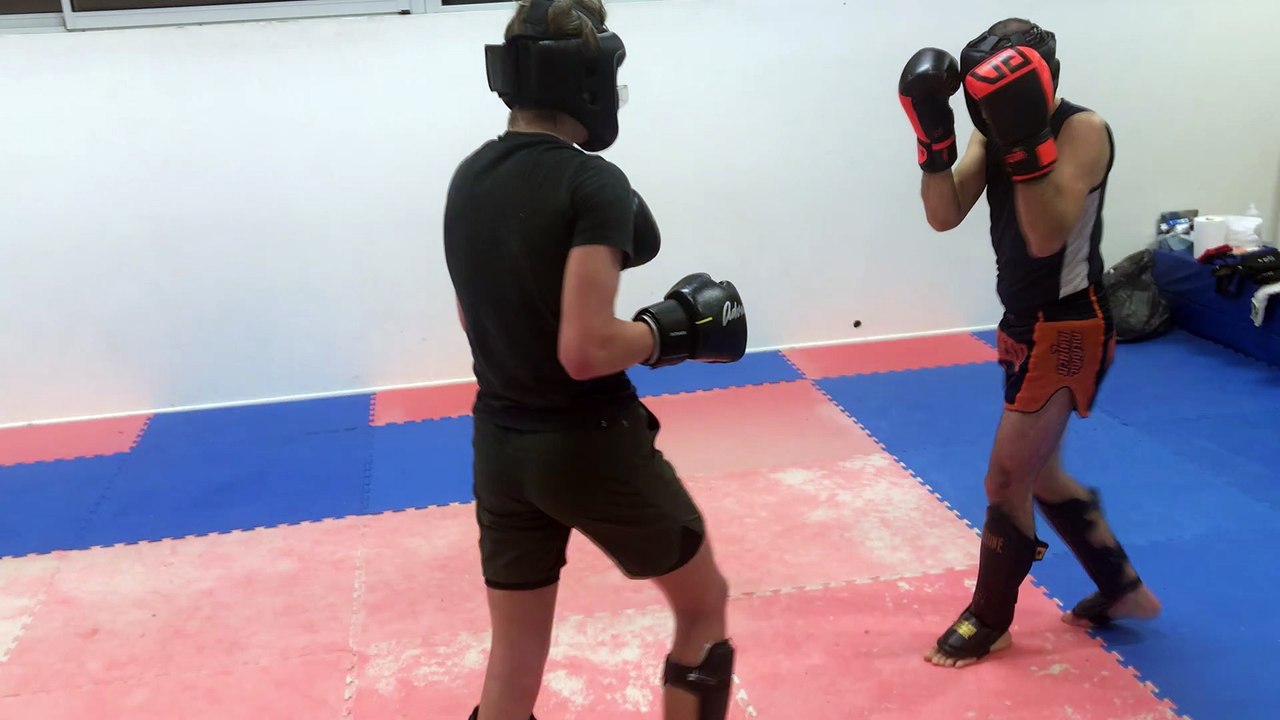 3 themes pieds poings, poings ,ppoings et pieds en dessous ceinture