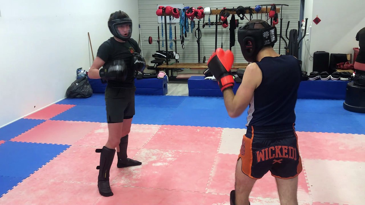 3 themes pieds poings, poings ,ppoings et pieds en dessous ceinture