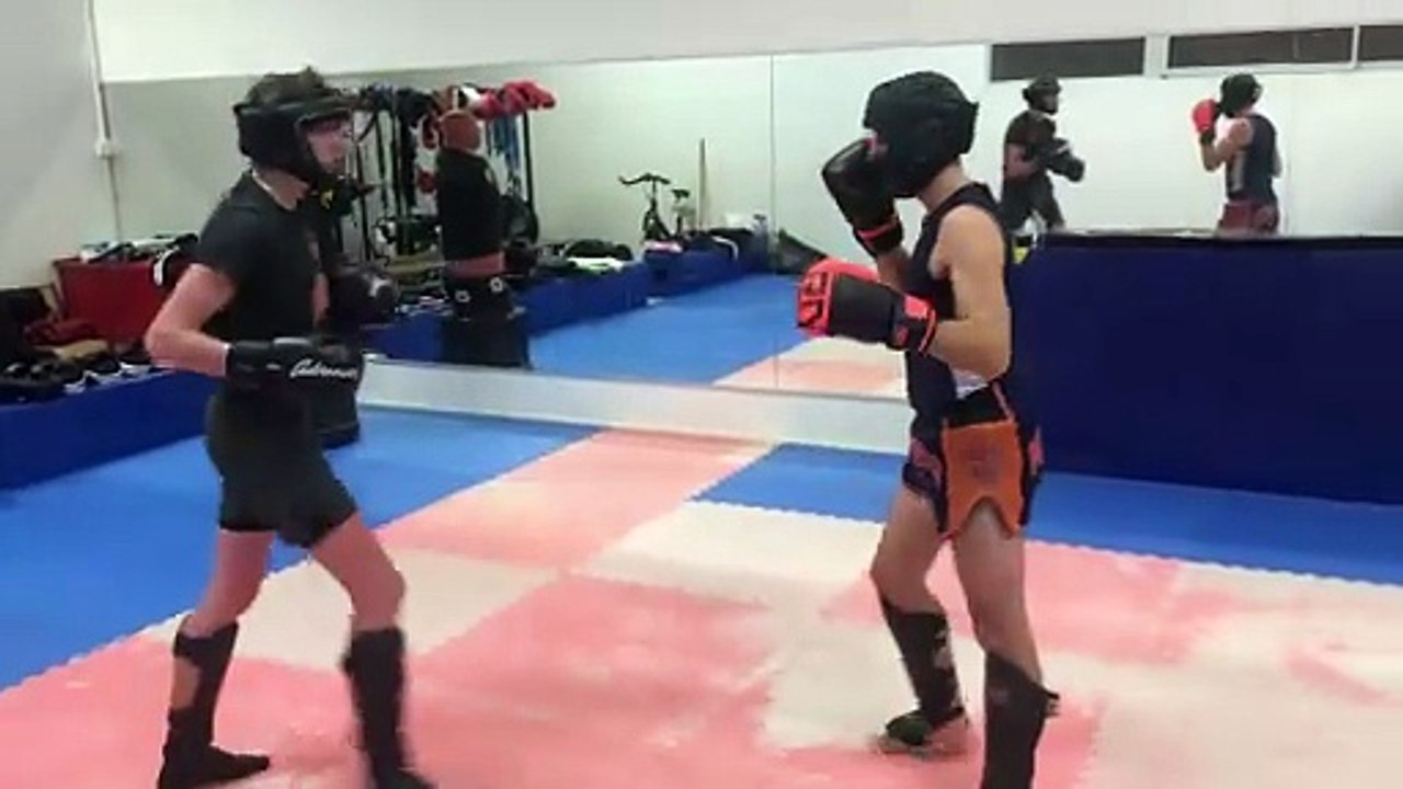 3 themes pieds poings, poings ,ppoings et pieds en dessous ceinture