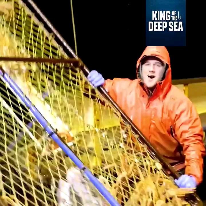 Sea crab....follow