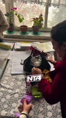 Öğretmen okul temizlikçisinin gözlerini bağladı! İzleyenlerin boğazı düğümlendi herkes ağladı! Siz de ağlayacaksınız!!!