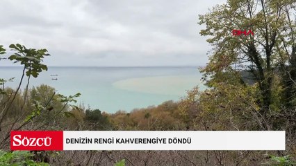 Denizin rengi kahverengiye döndü