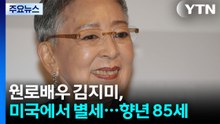 배우 김지미 미국에서 별세...700편여 편 남긴 '영화계 거목' / YTN