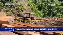 Dugaan Pembalakan Liar di Lampung, DPRD: Lahan Pribadi