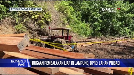 Dugaan Pembalakan Liar di Lampung, DPRD: Lahan Pribadi