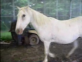 moi et tonerre keskon fait ???