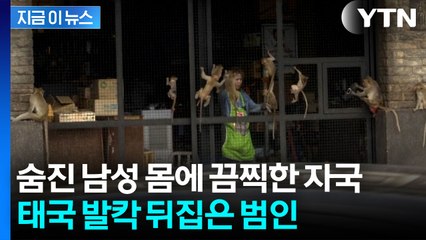 사람 살해하고 경찰 노려보다 달아나...태국 '발칵' [지금이뉴스] / YTN