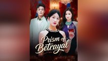 Prism Of Betrayal