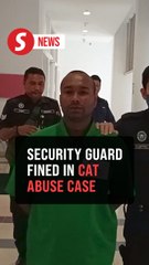 Security guard fined RM40,000 for cat abuse