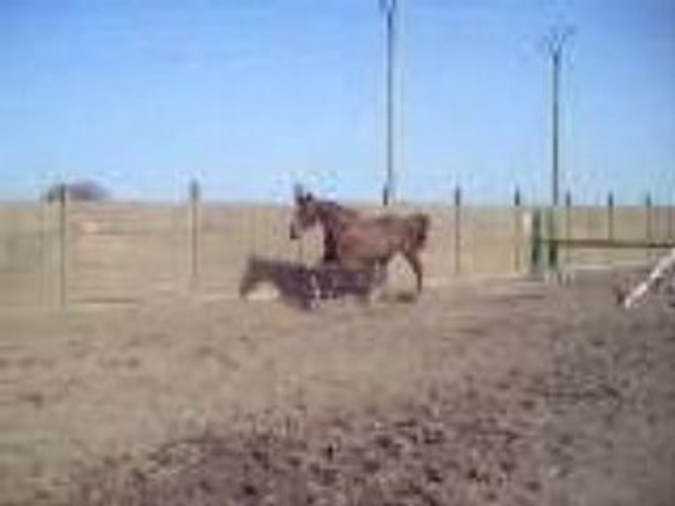 1M05 en oxerb